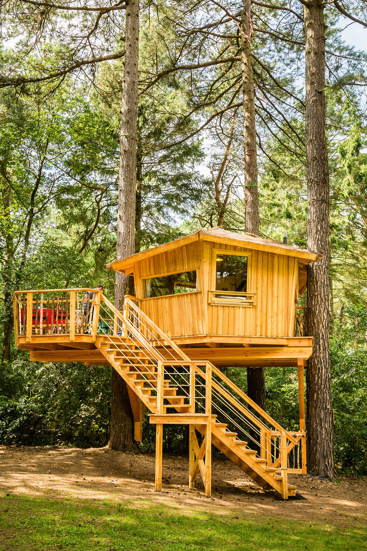 Das Baumhaus im Wernerwald
