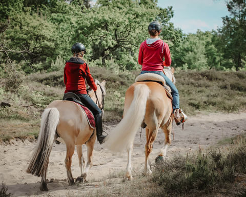 Reitwege in Cuxhaven