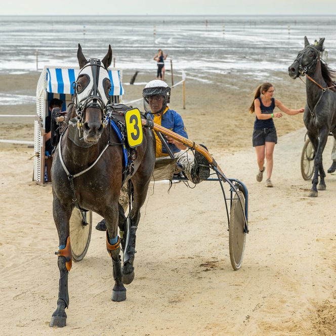 Pferde und Reiter beim Duhner Wattrennen