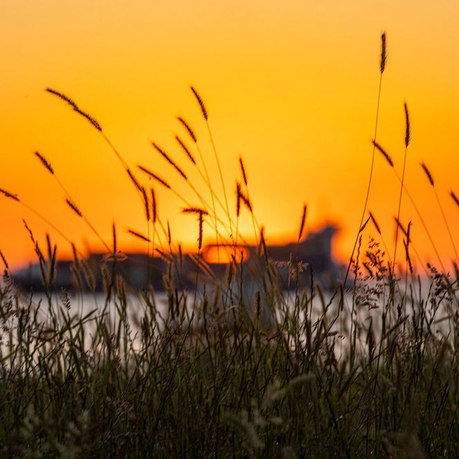 Ein Frachter auf der Elbe bei Cuxhaven