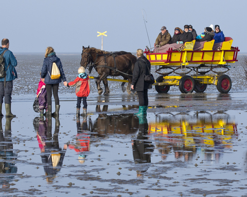 Wattwagenfahrten Cuxhaven