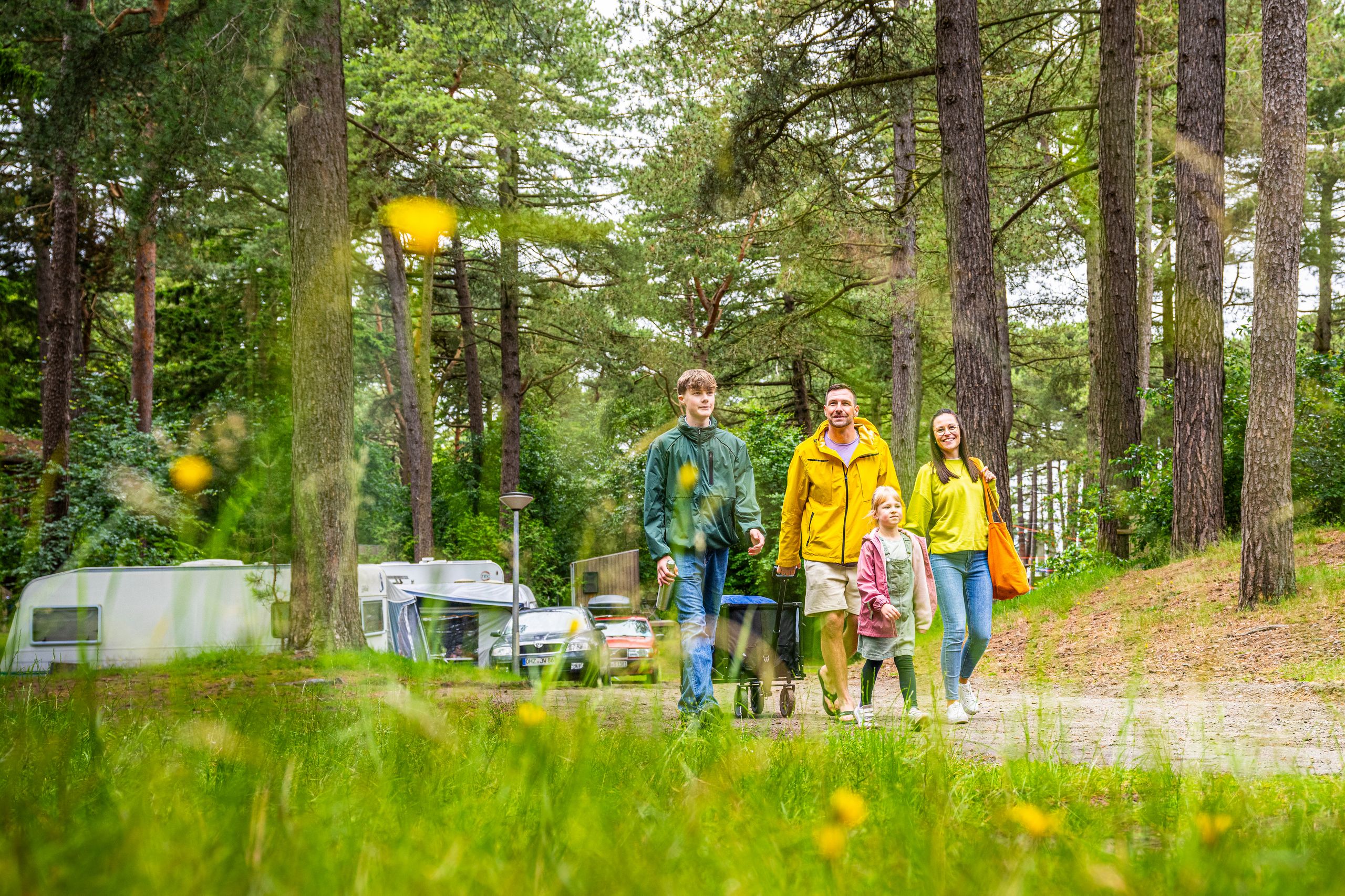 Camping Cuxhaven: Natur & Meerblick im Nordseeheilbad
