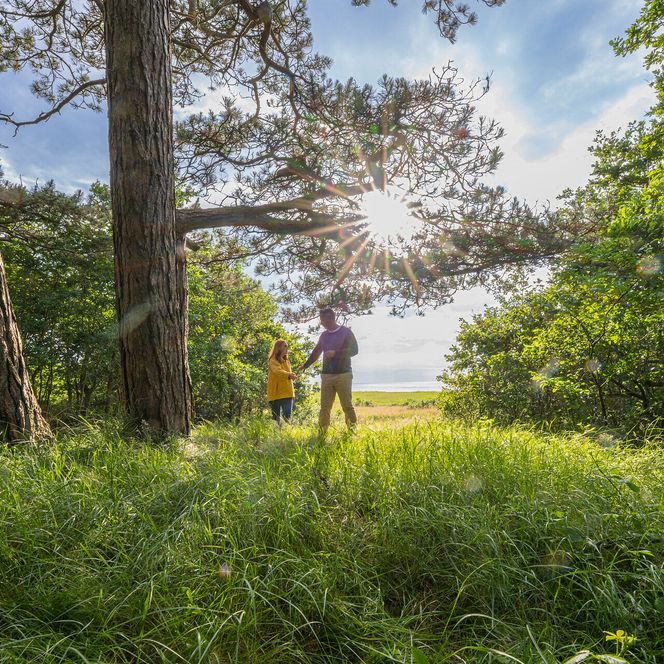 Ein Paar macht einen Waldspaziergang im Wernerwald