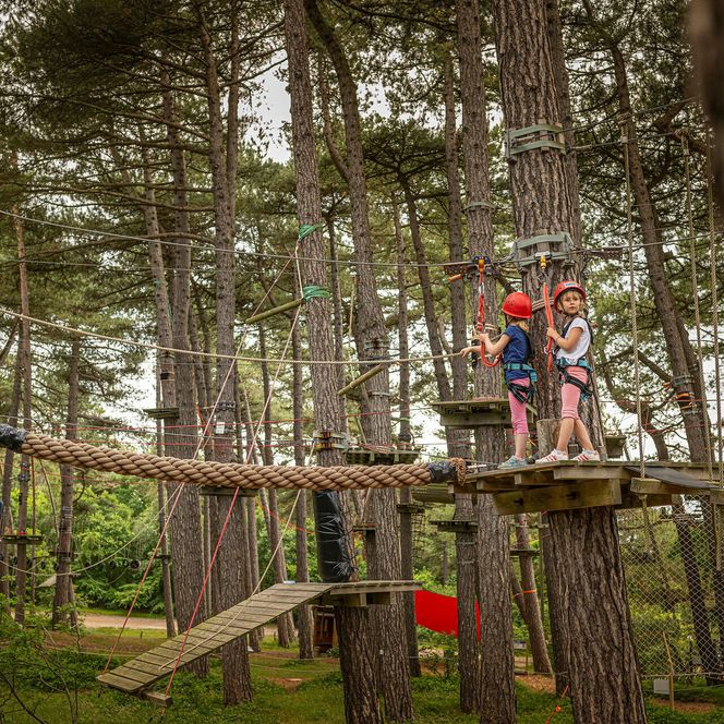 Eine kleine Gruppe von Kindern klettert im Kletterpark in Cuxhaven