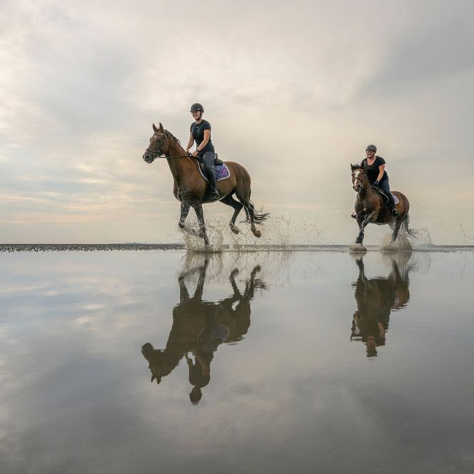 Reiten im Wattenmeer bei Cuxhaven