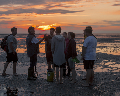 Wattführungen in Cuxhaven