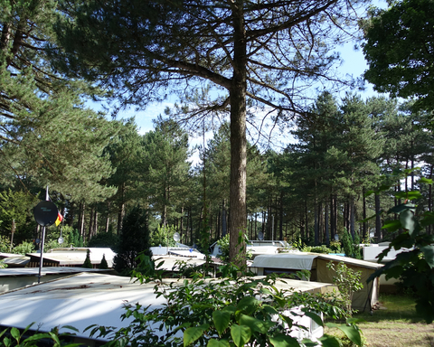 Campingplatz Wernerwald Cuxhaven