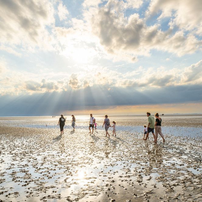 Wattwanderung in Cuxhaven