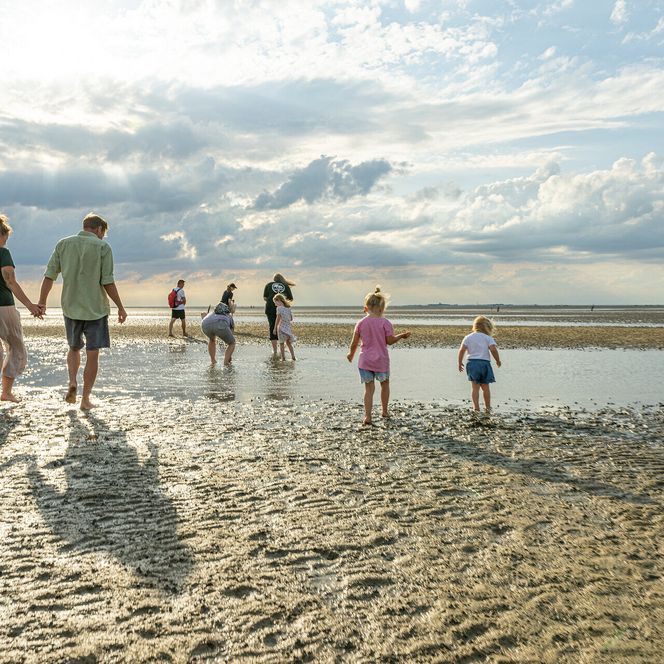 Wattwandern in Sahlenburg