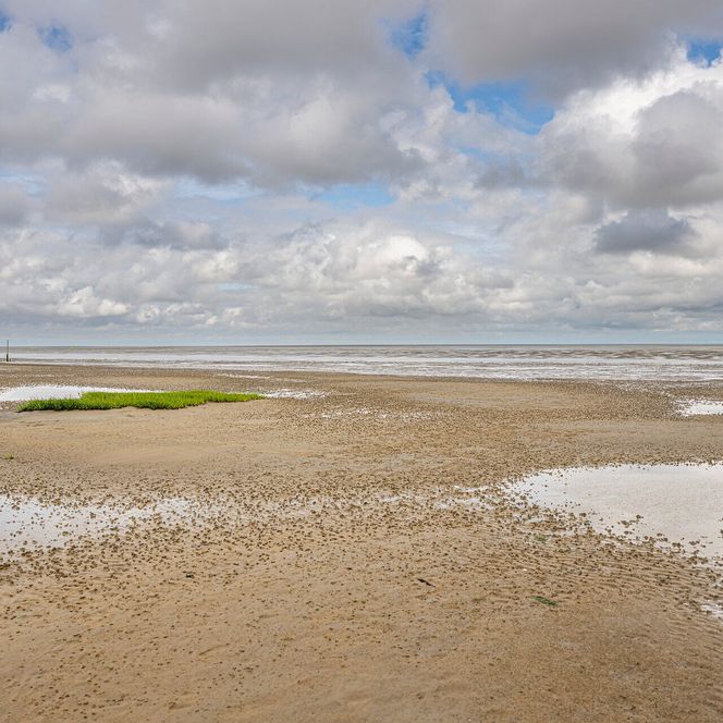 Blick über das Wattenmeer