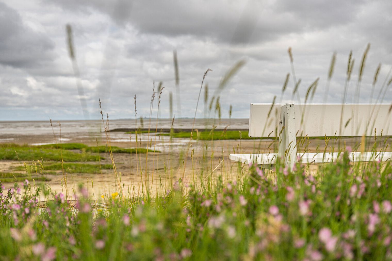 Blick von einer Bank auf das Meer