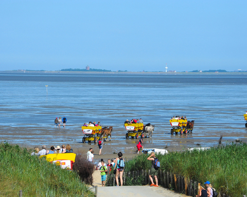 Wattwagenfahrten Cuxhaven