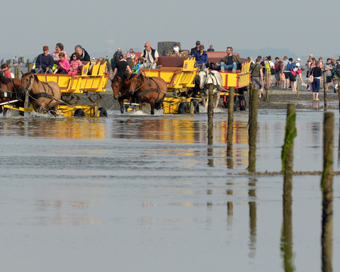 Wattwagenfahrten Cuxhaven