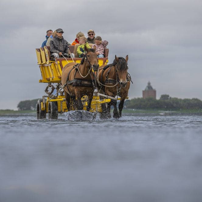 Kurs Cuxhaven: Rückfahrt durch das Wasser mit dem Wattwagen