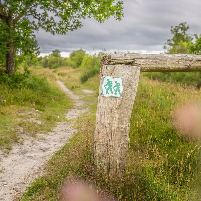 Wanderweg in der Küstenheide