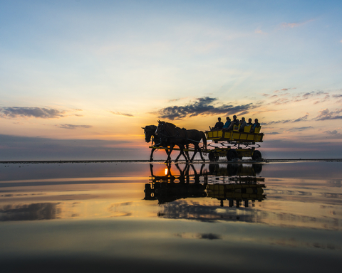 Wattwagenfahrten Cuxhaven