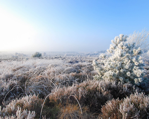 KÜS: Sicher unterwegs im Winter