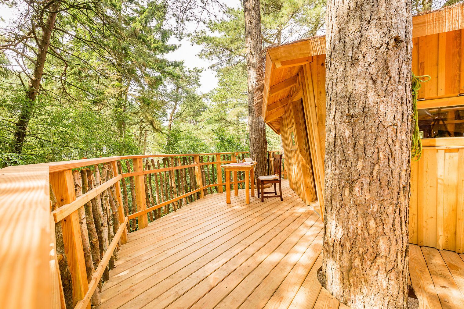 Unser Baumhaus im Sommer im Wernerwald