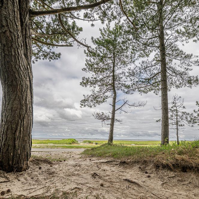 Blick aus dem Wernerwald in Richtung Strand