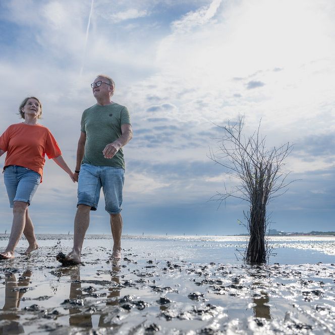 Hand in Hand durch das Watt: Achtsame Auszeit an der Nordsee