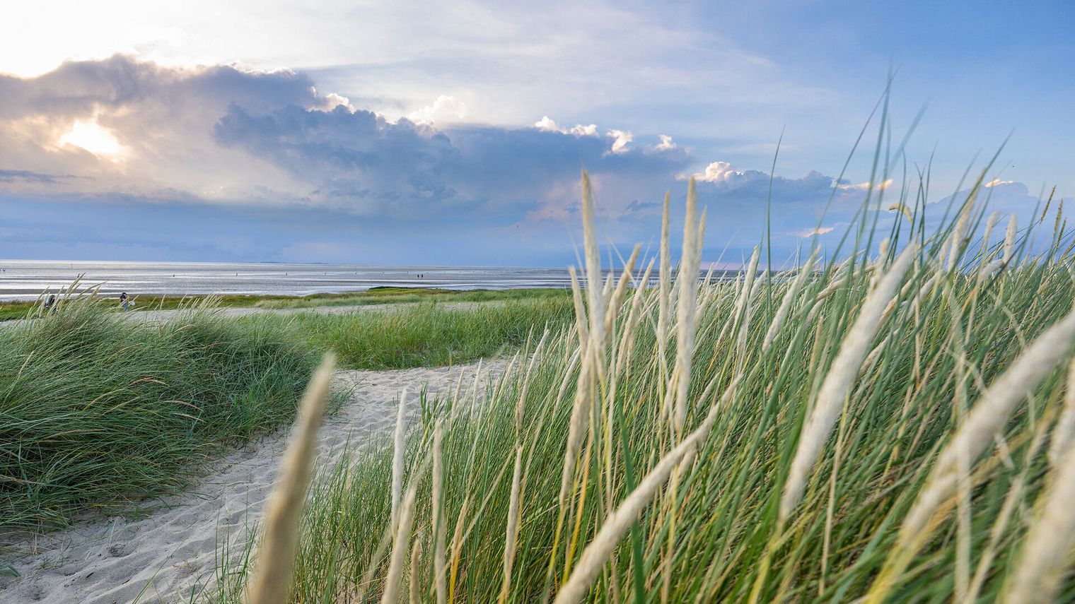 Der Strand in Cuxhaven Sahlenburg