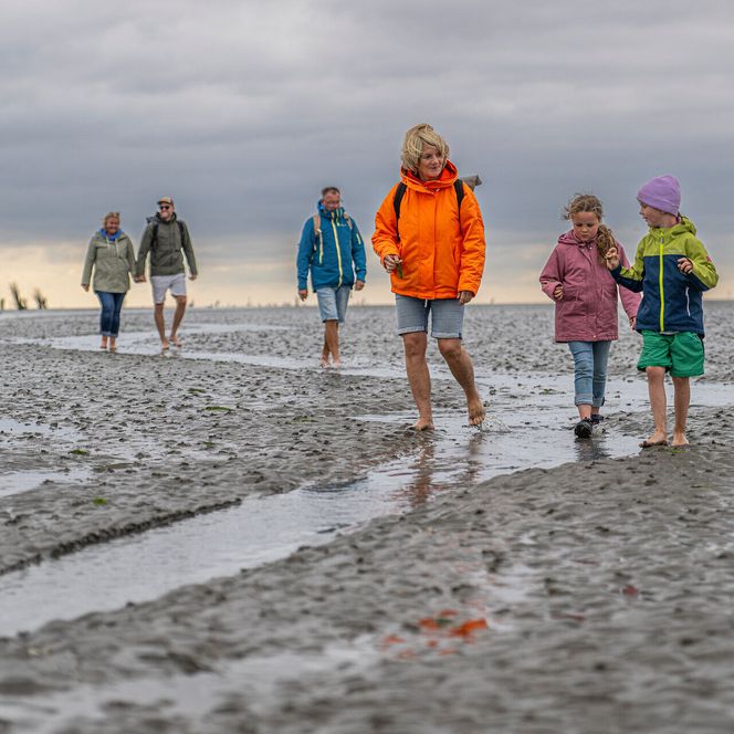 Eine Familie macht eine Wattwanderung entlang des Priels