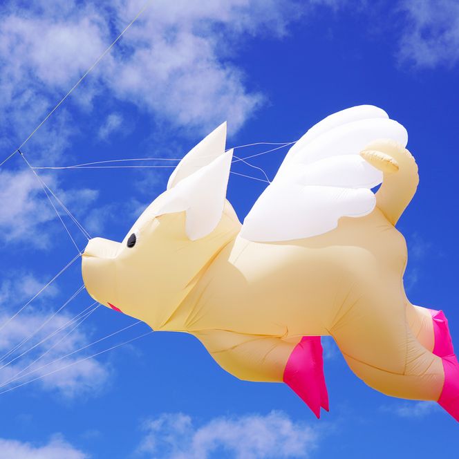 Ein Drachen als Schwein fliegt bei den Drachenflugtagen