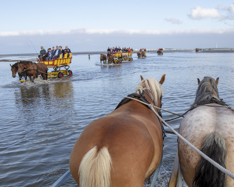 Wattwagenfahrten Cuxhaven