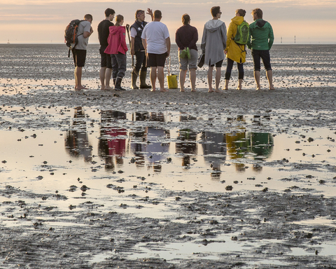 Wattführungen in Cuxhaven