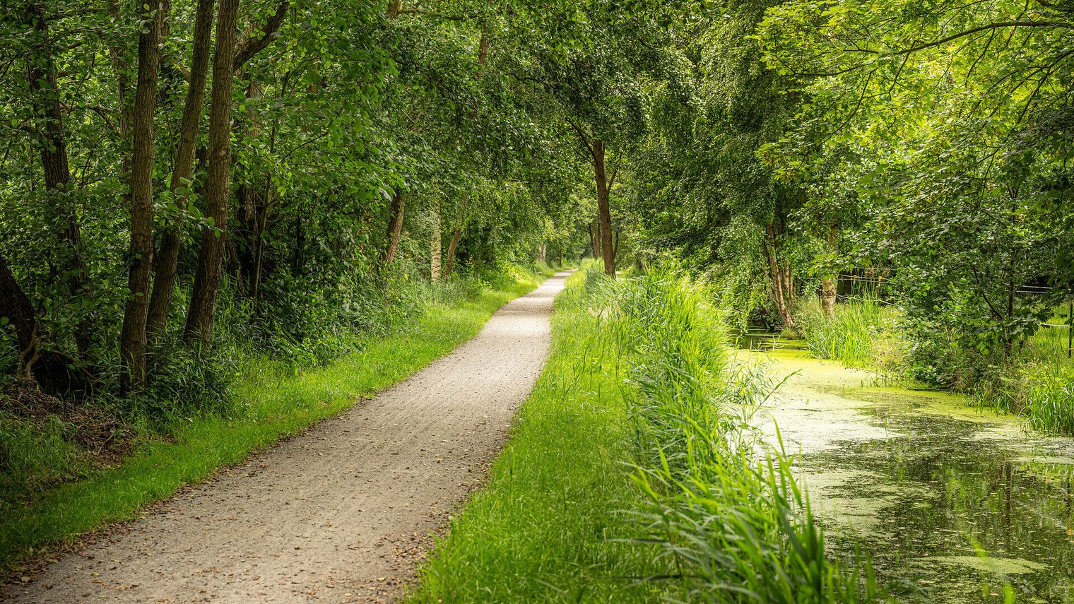 Der Radweg entlang des kleinen Flusses in Stickenbüttel