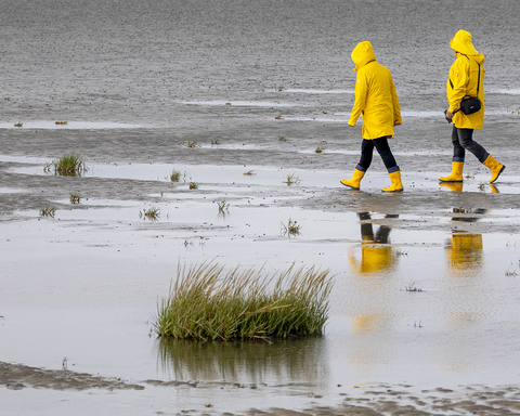 Wattwandern in Cuxhaven