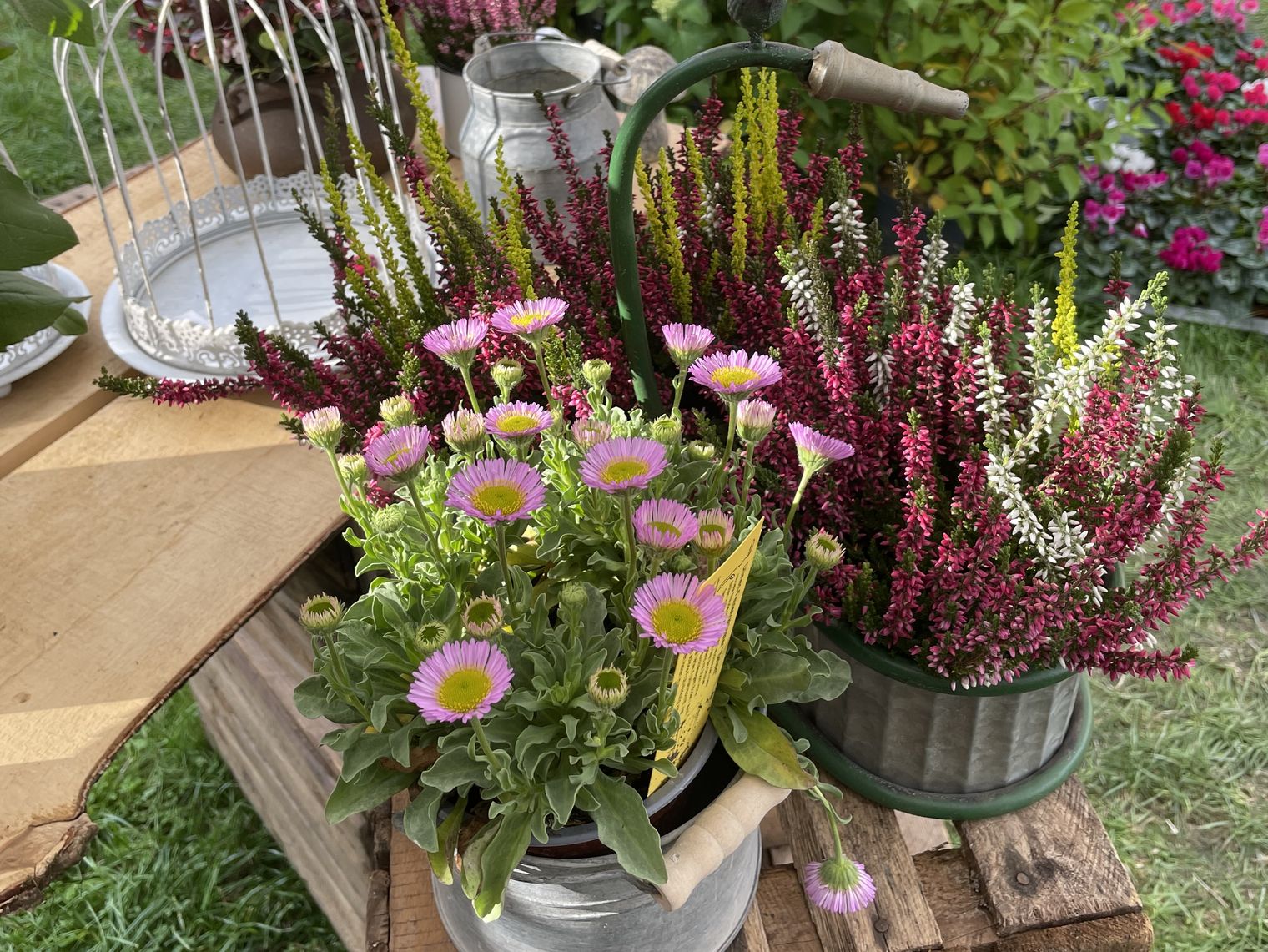 Herbstliche Blumen und Deko in einem Park