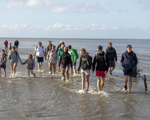 Wattführungen in Cuxhaven