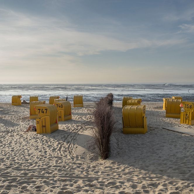 Gelbe Strandkörbe am Duhner Sandstrand bei Niedrigwasser