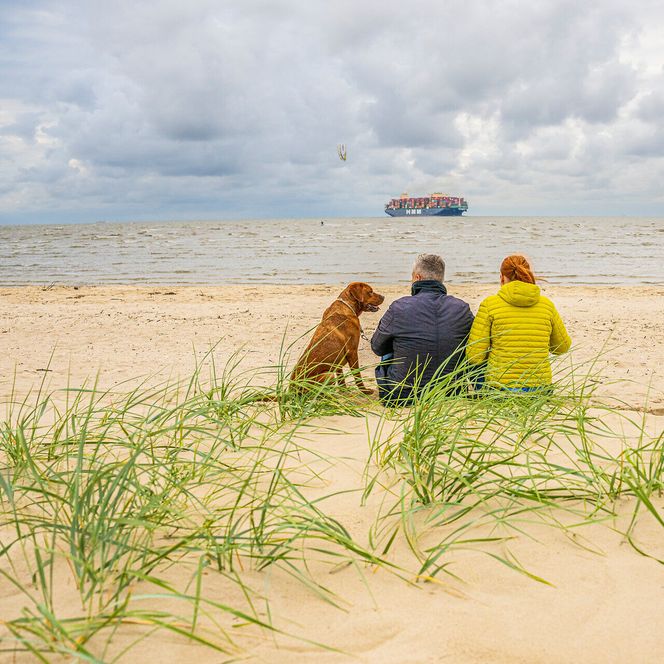 Ein Paar sitzt mit ihrem Hund am Döser Strand